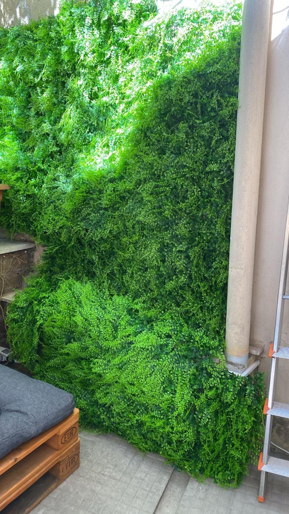 The Green House Rome Exterior photo